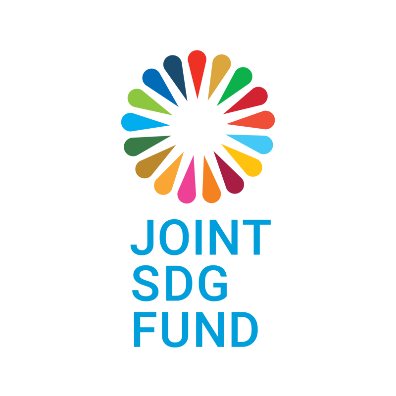 Jointsdgfund